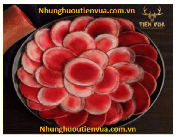 Nhung hươu ngâm rượu điều trị yếu sinh lý