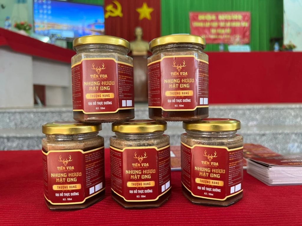 BÁO VOV - NUÔI HƯƠU OCOP Ở MIỀN TÂY