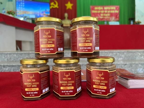 BÁO VOV - NUÔI HƯƠU OCOP Ở MIỀN TÂY