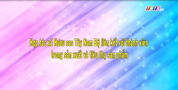 [THTG] HTX LIÊN KẾT VỚI THÀNH VIÊN TRONG SẢN XUẤT VÀ TIÊU THỤ SẢN PHẨM