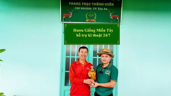 KĨ THUẬT CẮT NHUNG CHO BÀ CON XÃ VIÊN