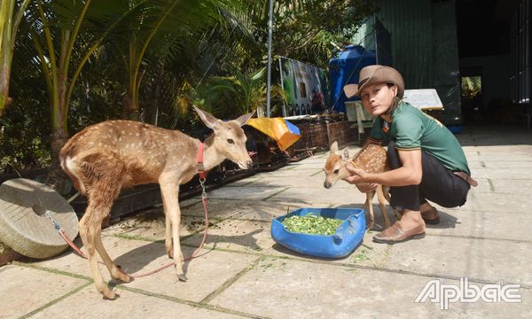 BÁO ẤP BẮC - THÚC ĐẨY TINH THẦN KHỞI NGHIỆP TRONG ĐOÀN VIÊN, THANH NIÊN