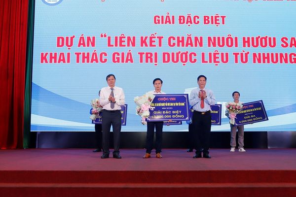 BÁO NÔNG NGHIỆP - DỰ ÁN NUÔI HƯƠU SAO ĐOẠT GIẢI ĐẶC BIỆT CUỘC THI Ý TƯỞNG KHỞI NGHIỆP