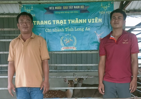 HƯƠU GIỐNG VỀ LONG AN