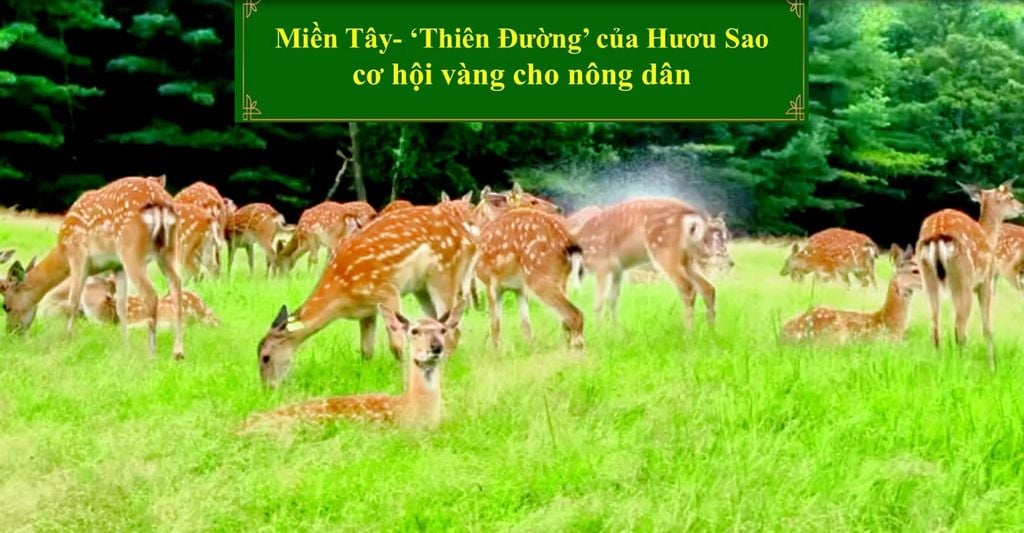 THIÊN ĐƯỜNG CỦA HƯƠU SAO CƠ HỘI VÀNG CHO NÔNG DÂN
