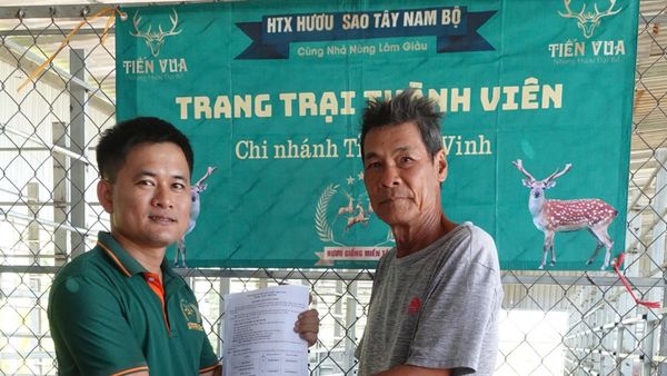 HƯƠU SAO VỀ TRÀ VINH