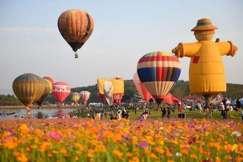 Kinh nghiệm khám phá công viên nông trại Singha Park Thái Lan