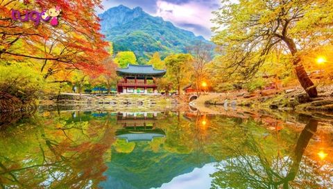 Những lí do nên đi du lịch vào mùa thu