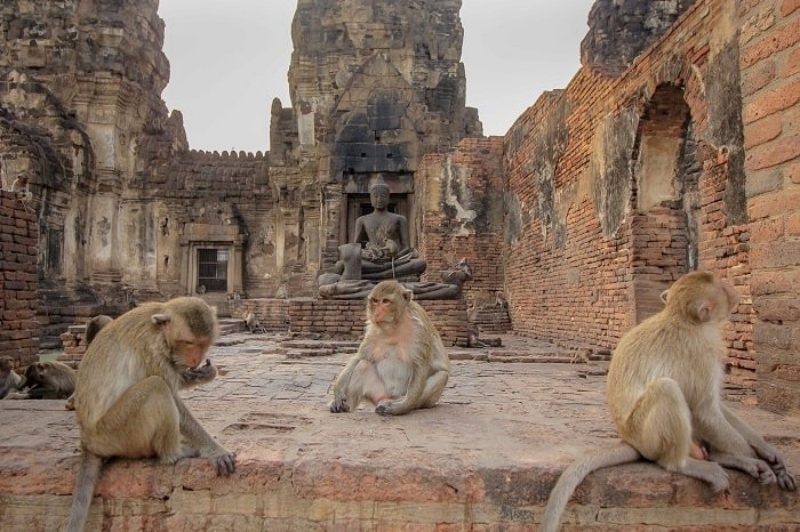 Thành phố Lopburi Thái Lan: vùng đất di sản của những ngôi đền cổ ...