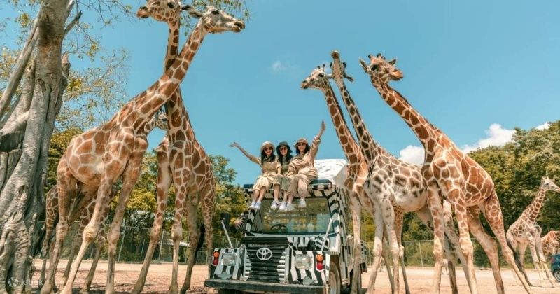 Khám phá Safari World Bangkok cùng ChillThai