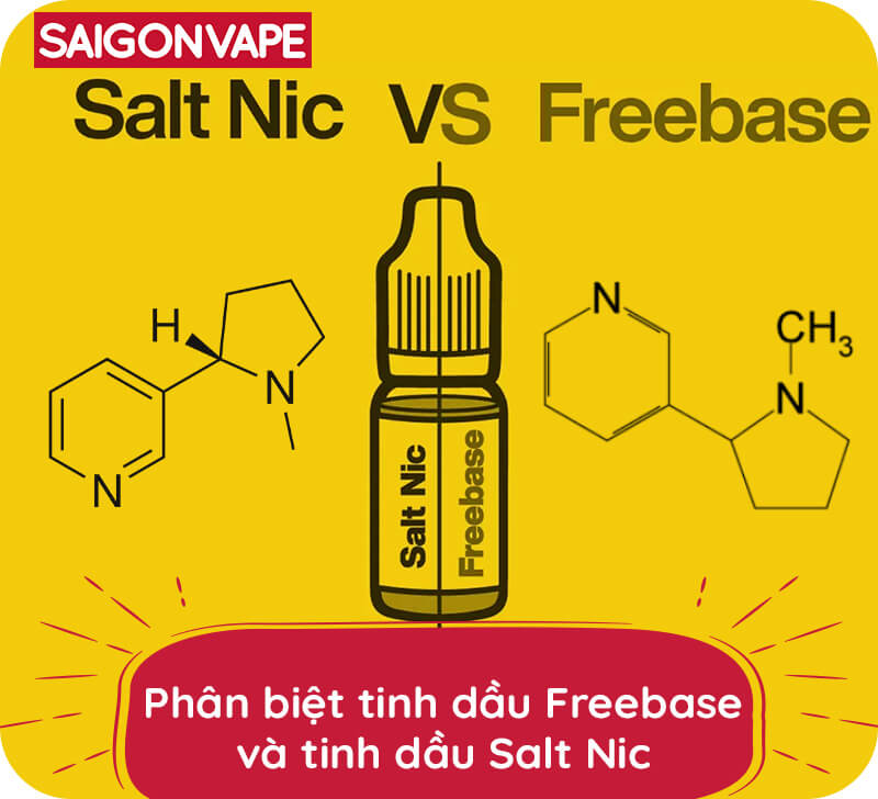 Phan biet Freebase va Saltnic