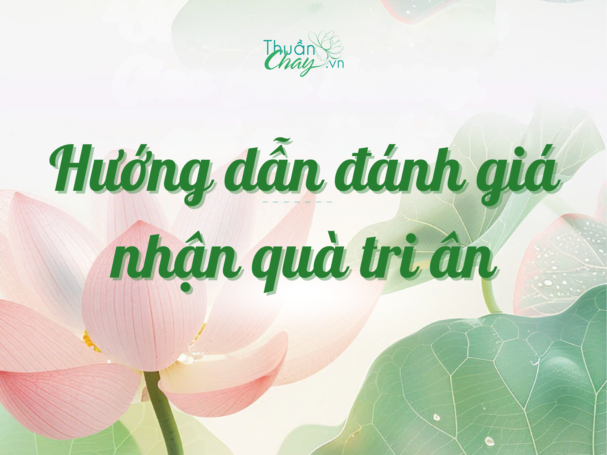 Hướng Dẫn Đánh Giá Nhận Quà Tri Ân Khách Hàng