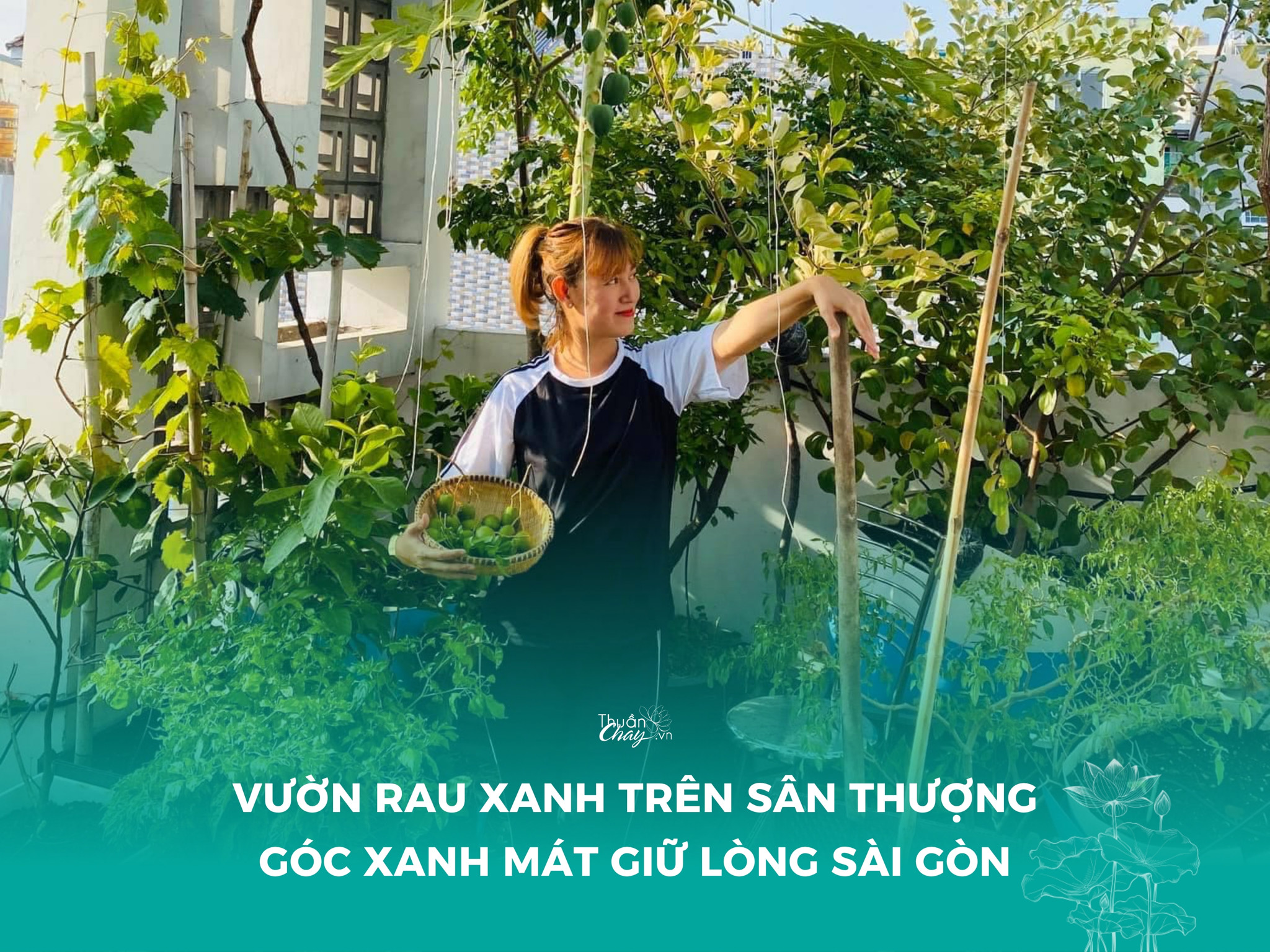 Vườn Rau Trên Sân Thượng – Góc Xanh Nhỏ Làm Nên Cuộc Sống Lành