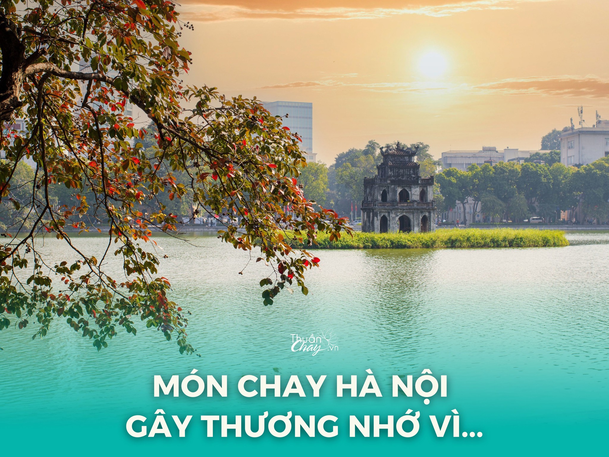 Bí Mật Sau Những Món Chay 