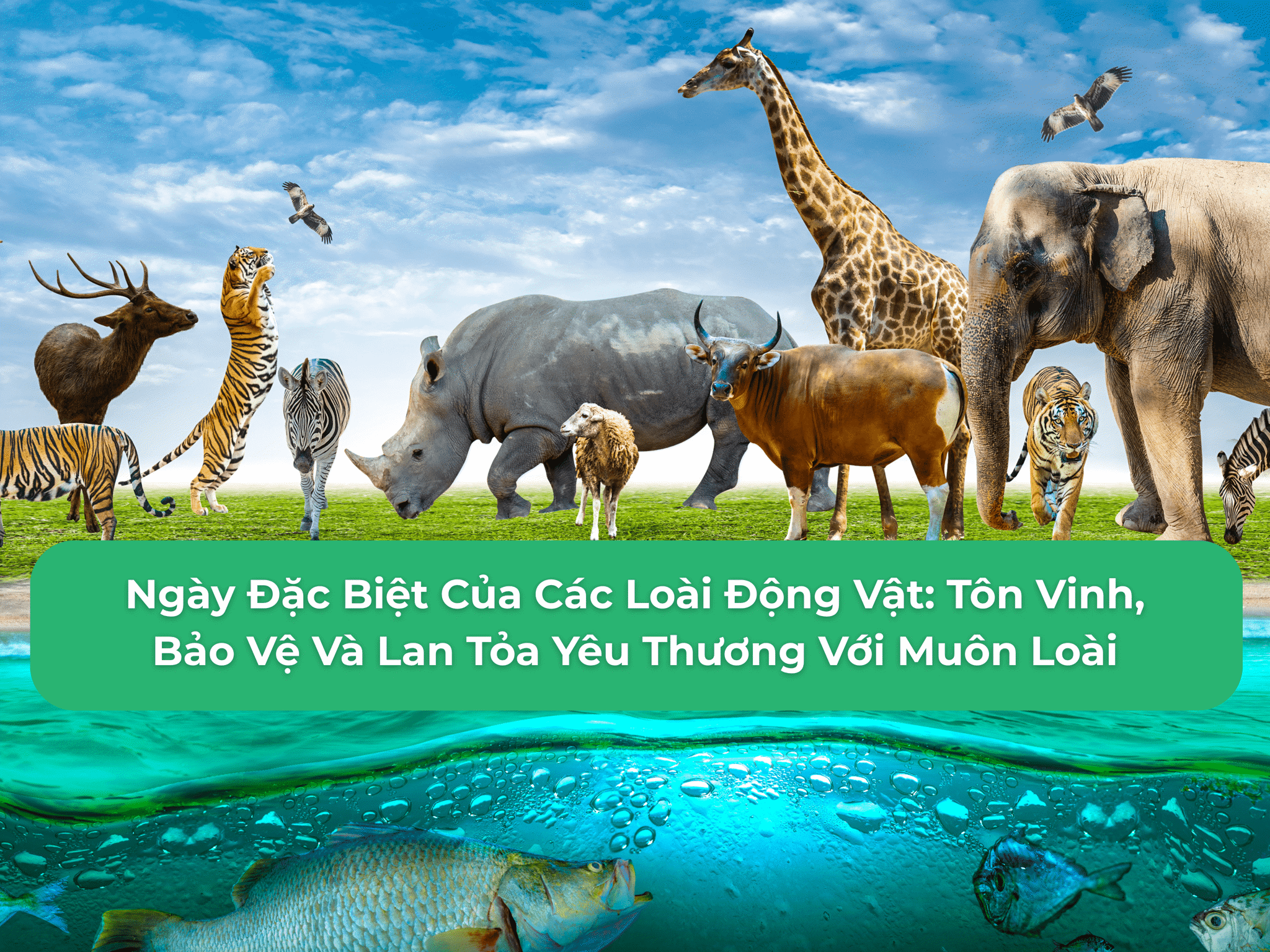 Ngày Đặc Biệt Của Các Loài Động Vật: Tôn Vinh, Bảo Vệ Và Lan Tỏa Yêu Thương Với Muôn Loài
