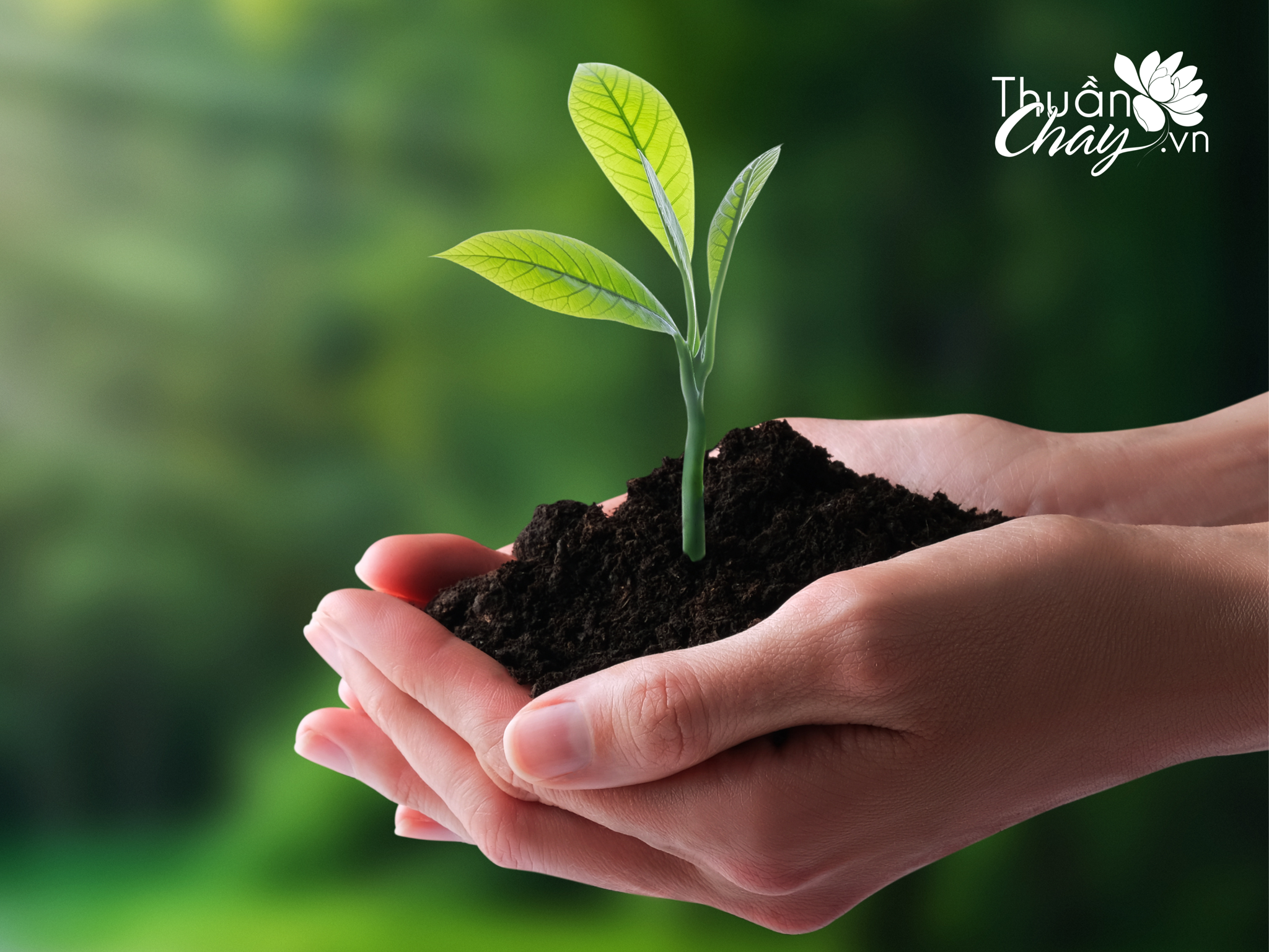 Mật Táo Đỏ Tâm An – Tiên Phong Lan Tỏa Lối Sống Xanh, Nói Không Với Rác Thải Nhựa