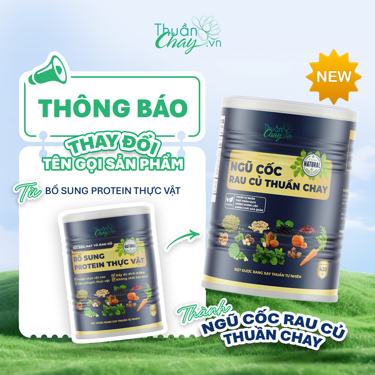 Ngũ Cốc Rau Củ Thuần Chay