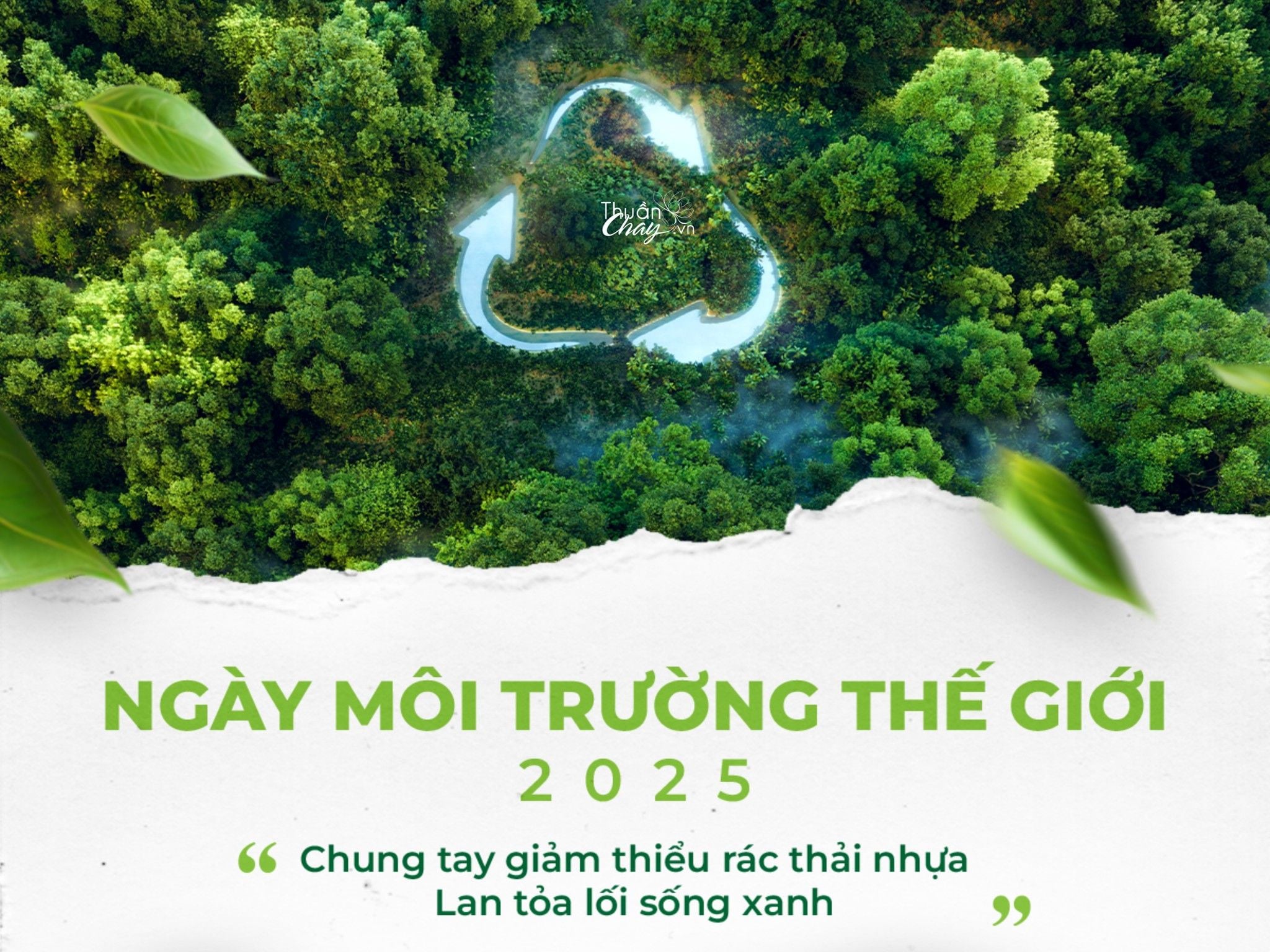 Ngày môi trường thế giới