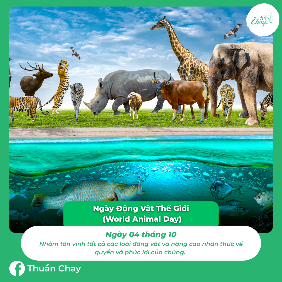 ngày đặc biệt của các loài động vật