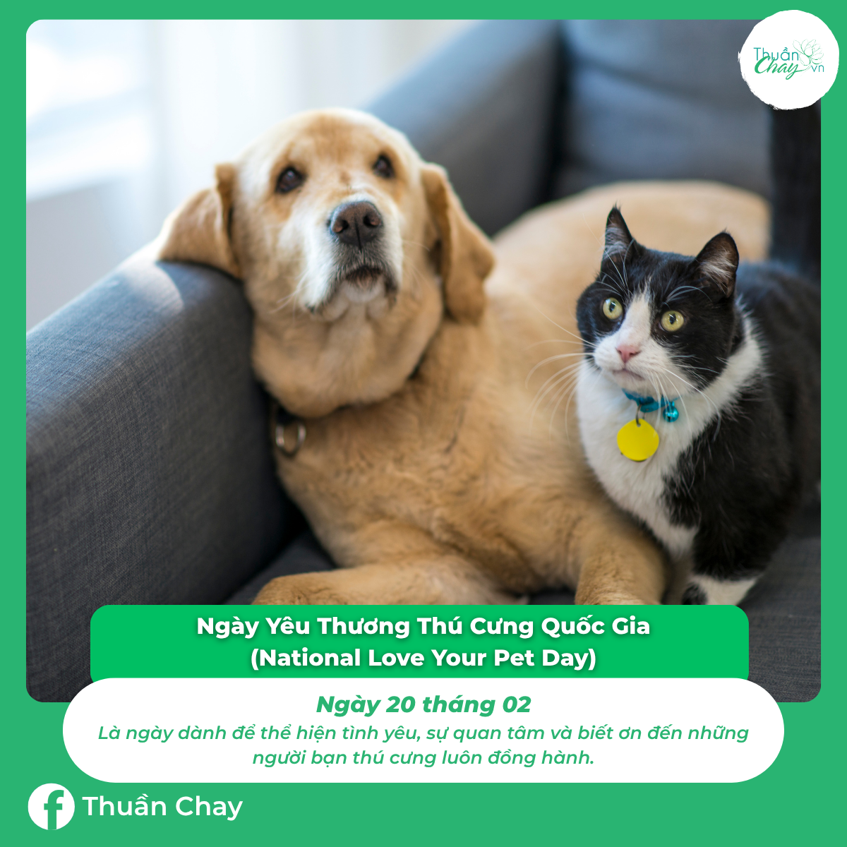 ngày đặc biệt của các loài động vật