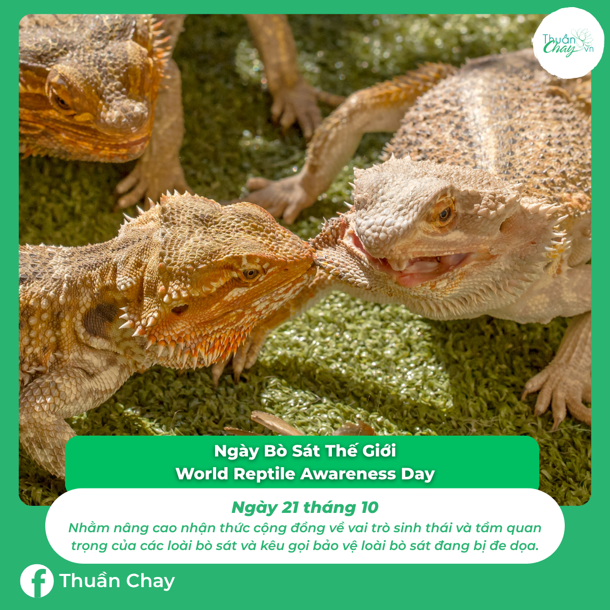 ngày đặc biệt của các loài động vật