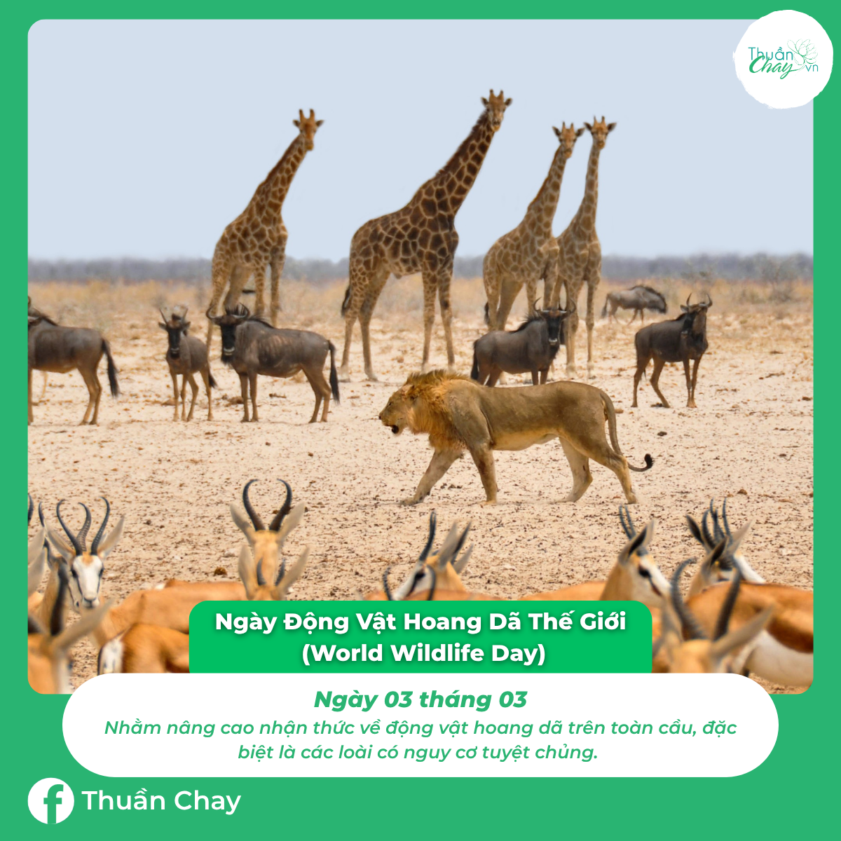 ngày đặc biệt của các loài động vật