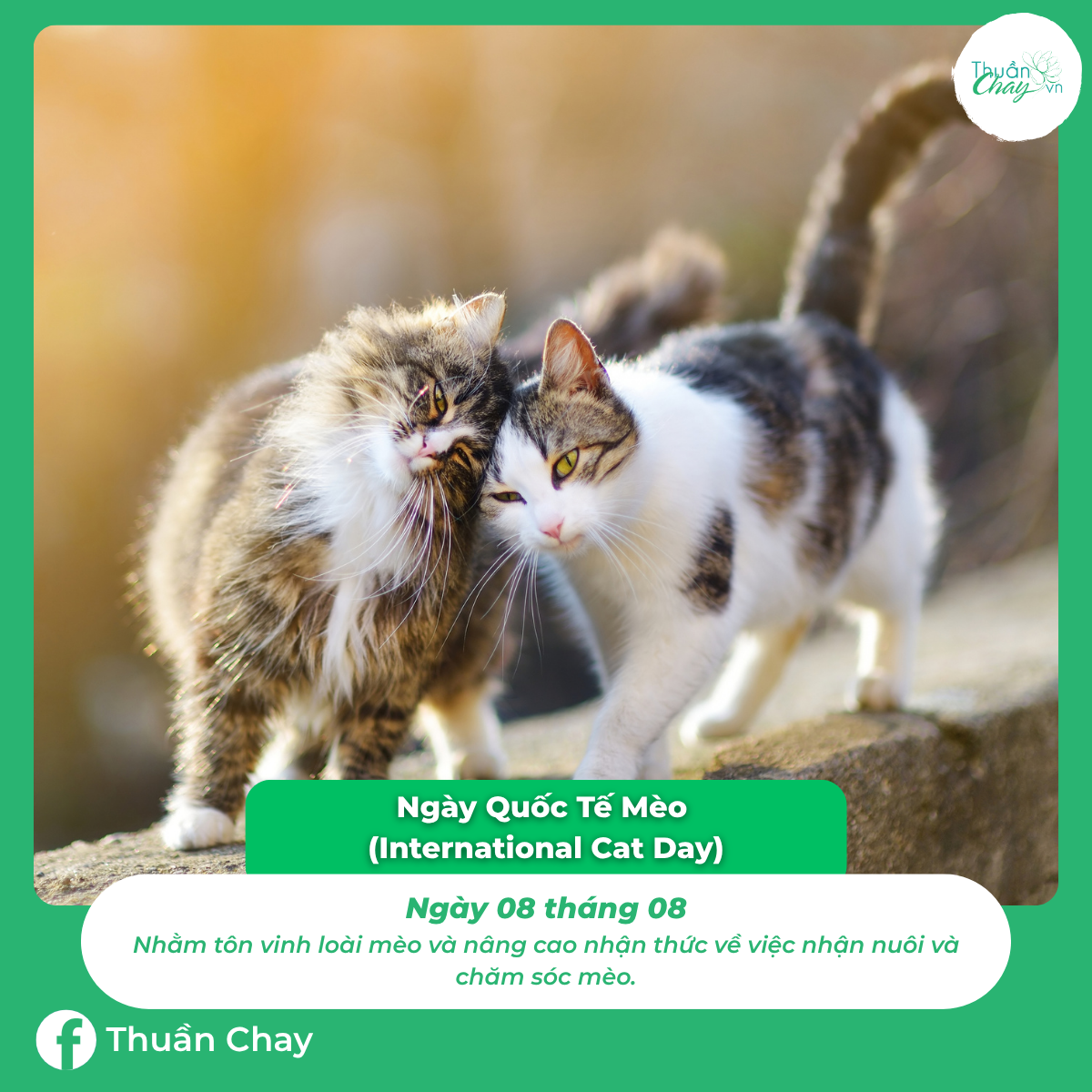 ngày đặc biệt của các loài động vật