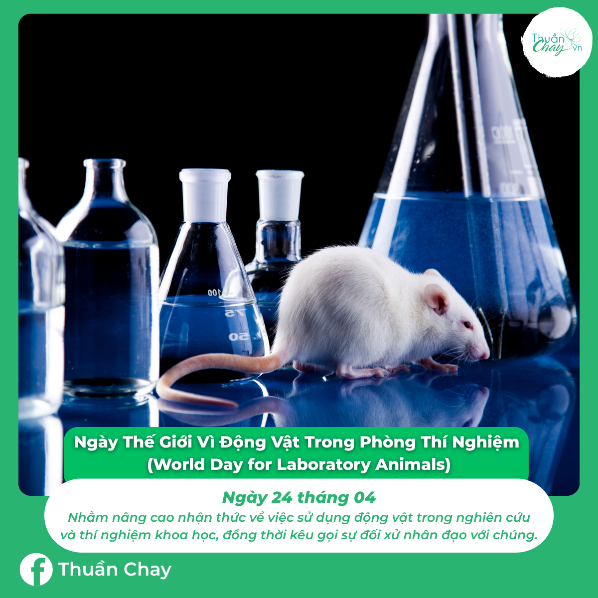 ngày đặc biệt của các loài động vật