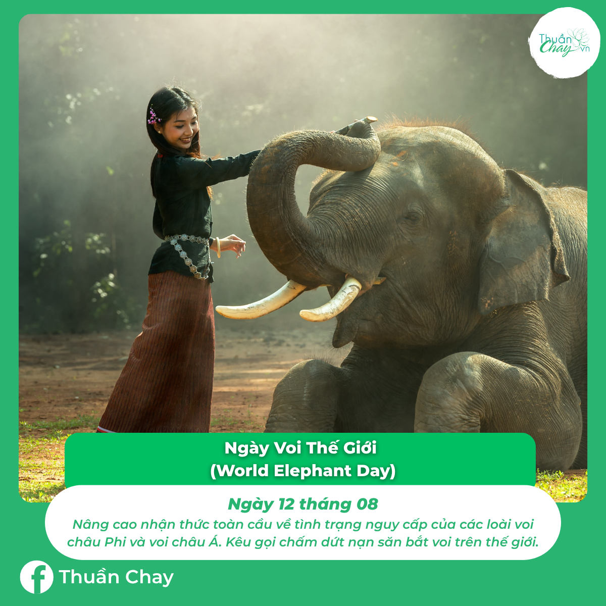 ngày đặc biệt của các loài động vật