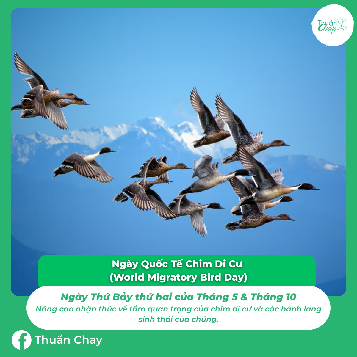 ngày đặc biệt của các loài động vật