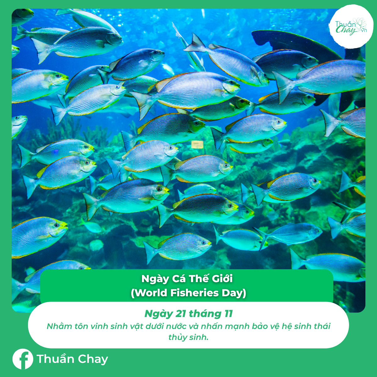 ngày đặc biệt của các loài động vật