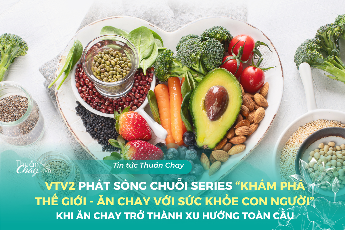 VTV2 Phát Sóng Series 