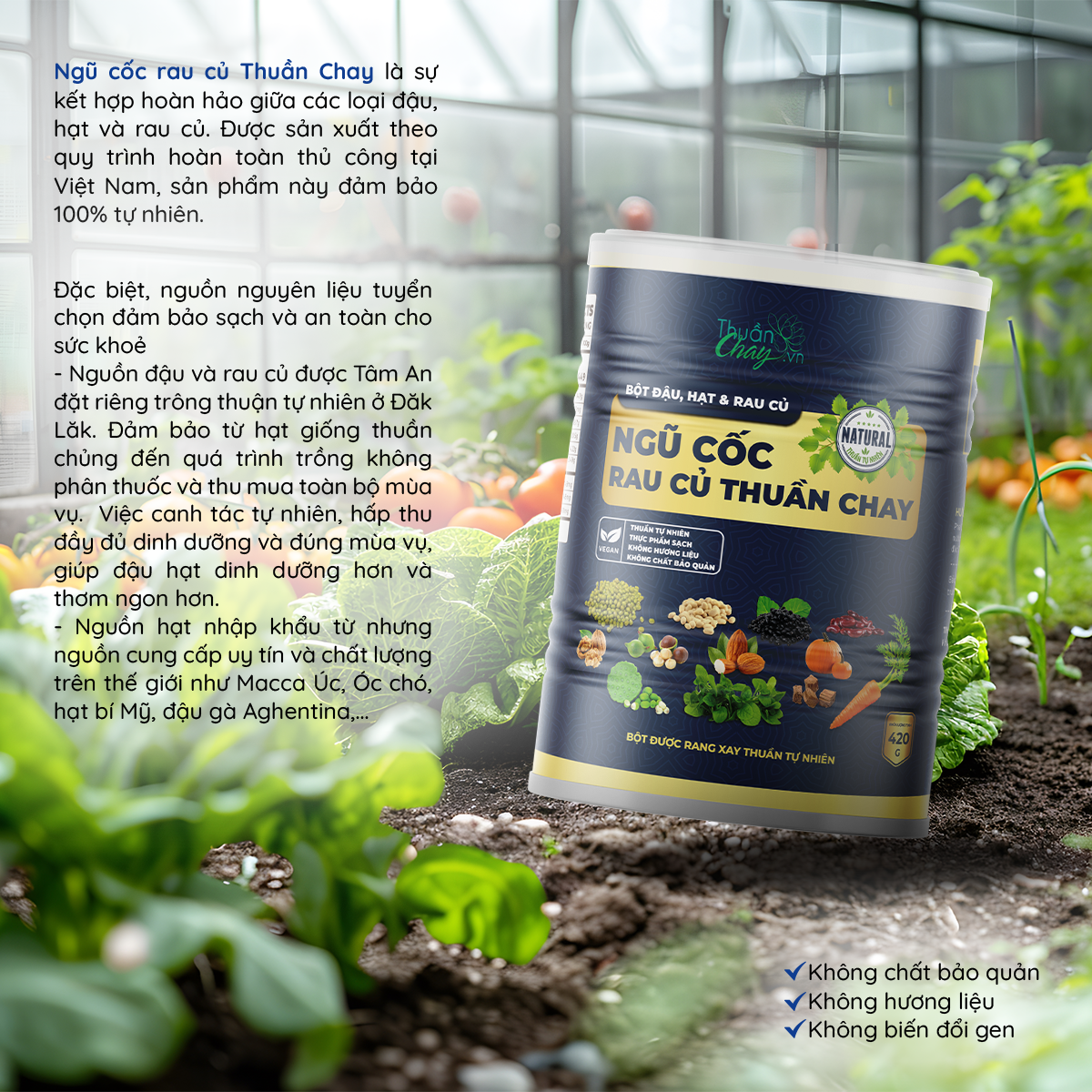 Ngũ cốc rau củ Thuần Chay