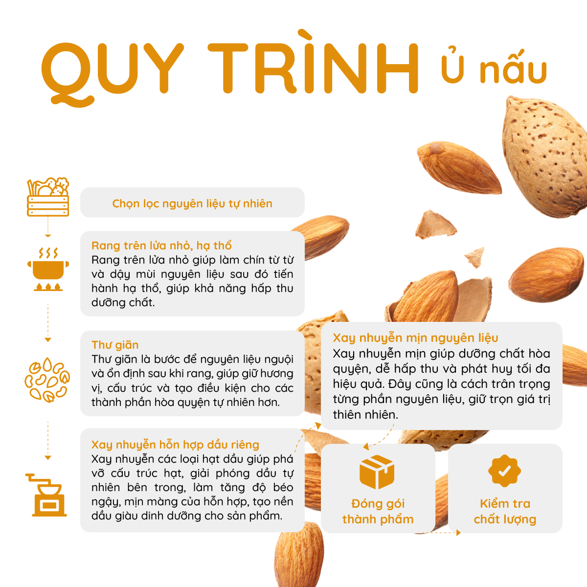 Bột đậu hạt & rau củ Nghệ Gạo Lứt