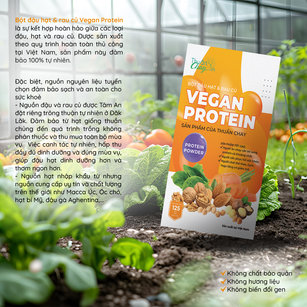 bột đậu hạt rau củ Vegan Protein 125g