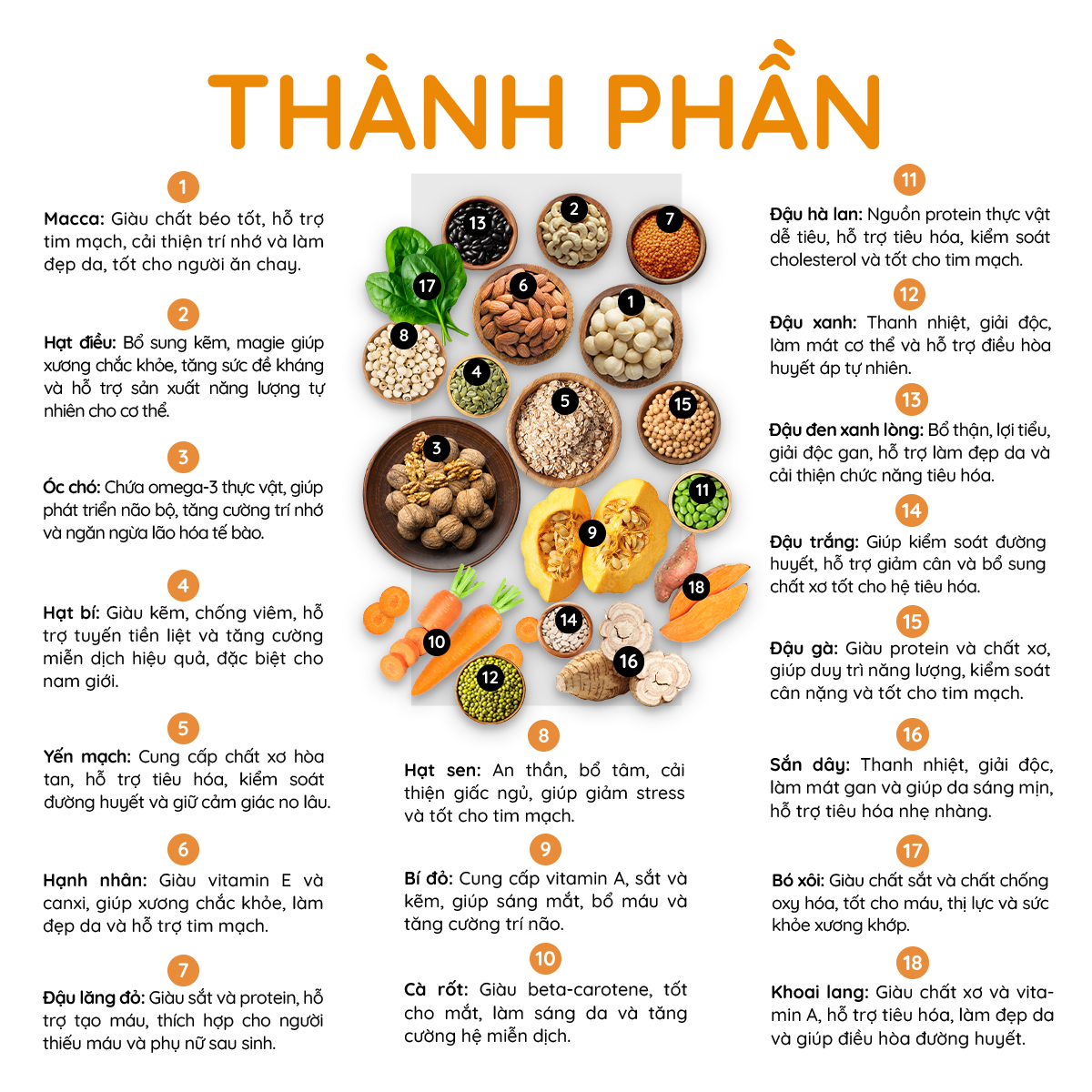 bột đậu hạt rau củ Vegan Protein 125g