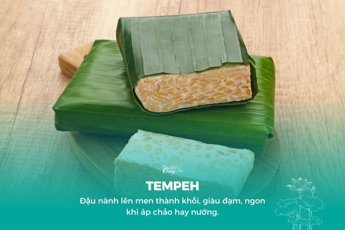 tempeh