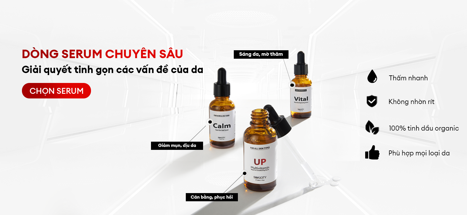 banner flashsale