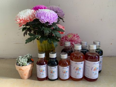 Bạn có muốn cùng Isaac và Anh Tú trong một căn phòng tràn ngập đủ màu hoa