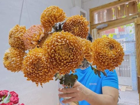 MÀU NHUỘM HOA NÂU