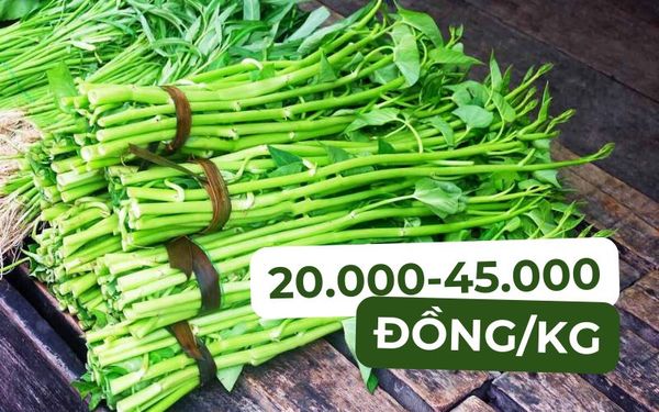 Giá Rau Muống Hôm Nay Bao Nhiêu? Cập Nhật Mới Nhất