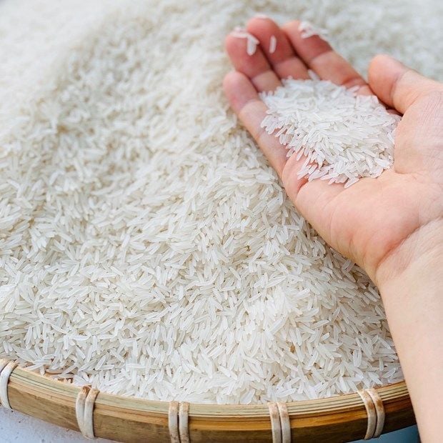 Vì Sao Lúa Giống ST25 Là Gạo Ngon Nhất Thế Giới?