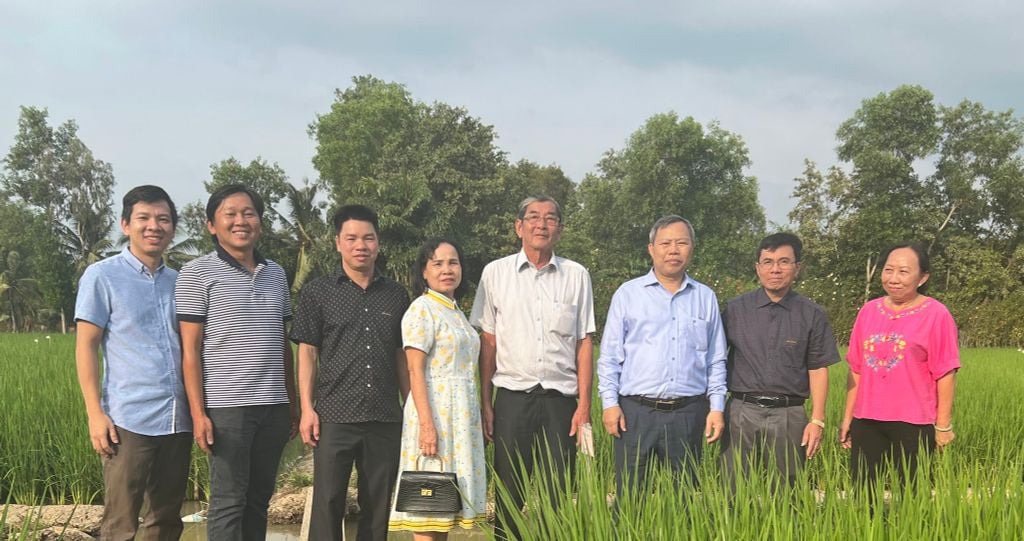 Thăm cơ sở sản xuất lúa giống Hồ Quang