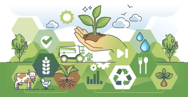Nông Nghiệp Sinh Thái: Xu Hướng Mới Cho Nông Dân Việt Nam