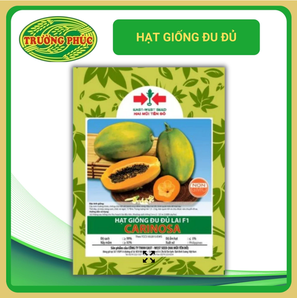 Kỹ thuật trồng đu đủ lai F1 Carinosa