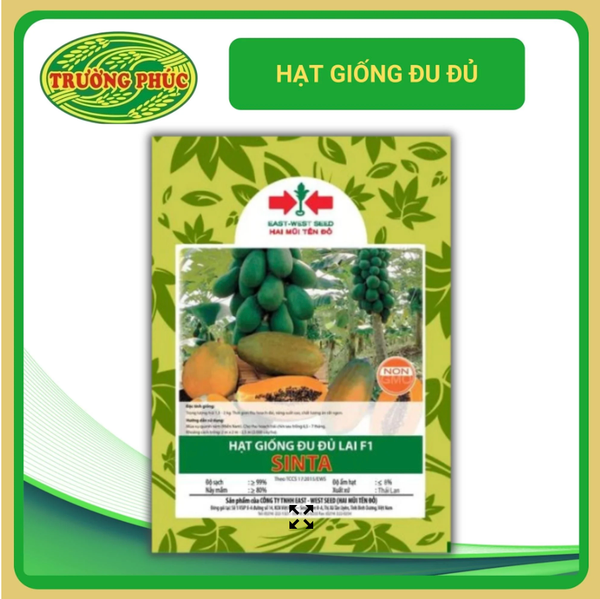 Kỹ thuật trồng Đu Đủ Lai F1 Sinta
