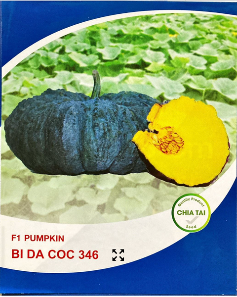 hạt giống bí đỏ