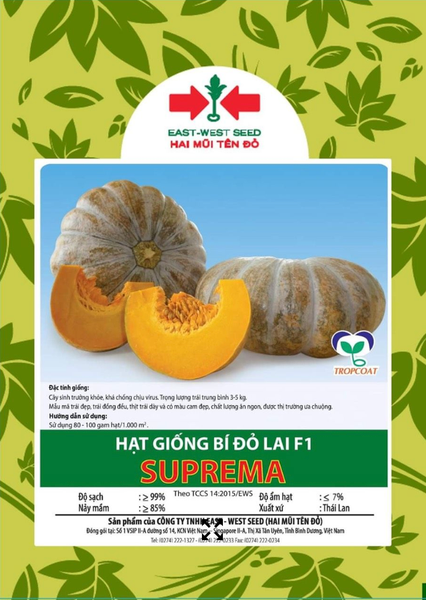 hạt giống bí đỏ