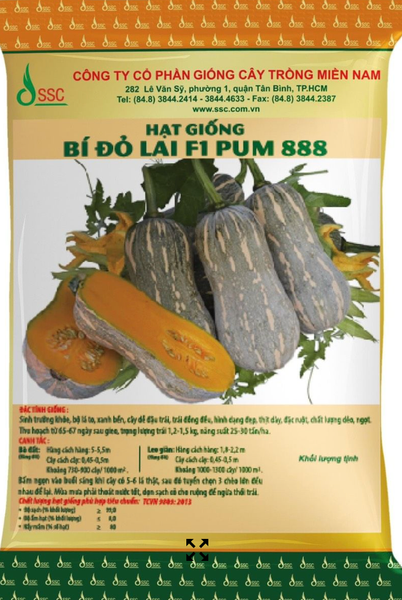 hạt giống bí đỏ