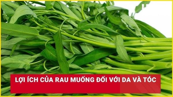 Công Dụng Của Rau Muống